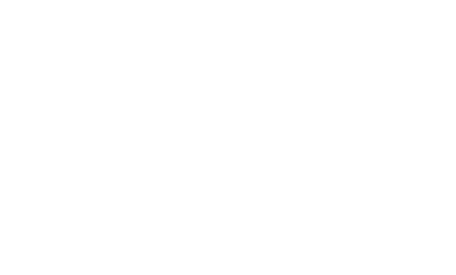 Young Guns Records